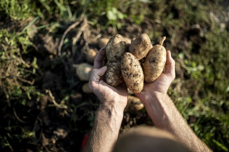 Südtiroler Bäuerinnen. Aus unserer Hand