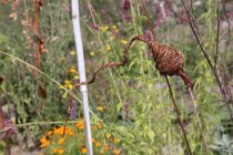 Kurs: Augenweiden für den Garten flechten