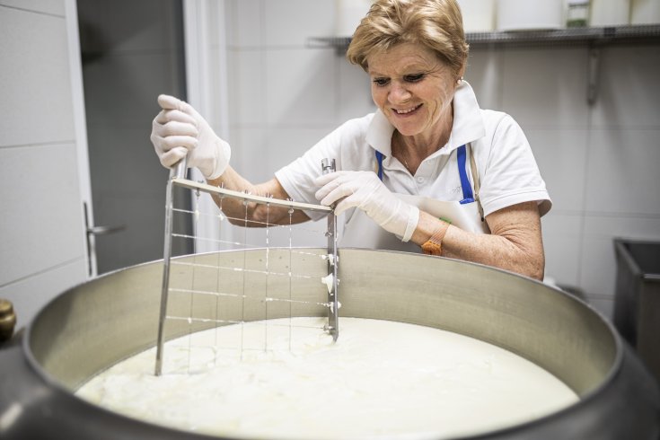 Der Weg von der Milch zum Käse