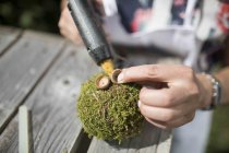 Kurs: Basteln mit kleinen Naturschätzen Mooskugeln