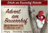 Advent am Bauernhof