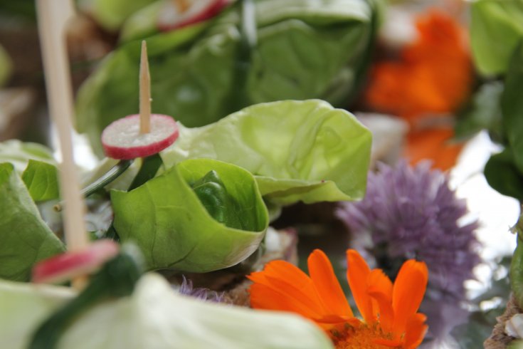 Erlebnis: Frühstücks-Picknick am Naturerlebnisweg