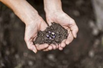 Workshop: Gartenglück für Familie