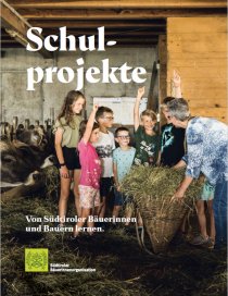 Schulprojekte