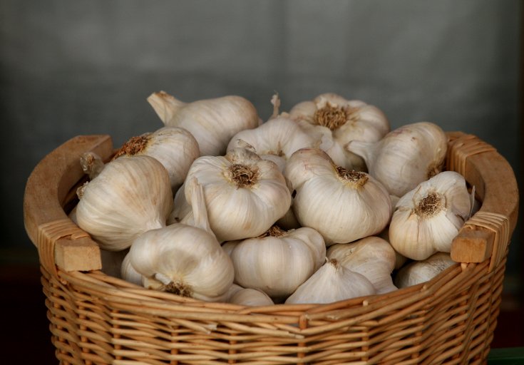 Mit Knoblauch gegen Arterienverkalkung