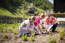 Gewinnspiel Schule am Bauernhof