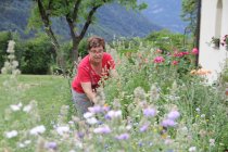 Bunte Gartenvielfalt