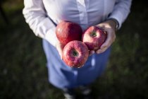 Alltagsobst mit Superkraft: der Apfel