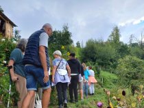 Schnuppertag Permakultur im Garten