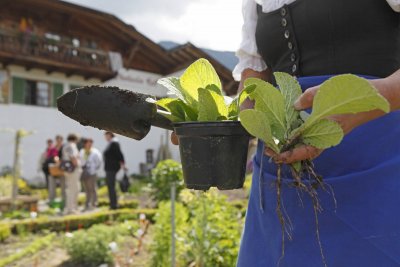 Durch duftende Gärten und traditionsreiche Gemäuer