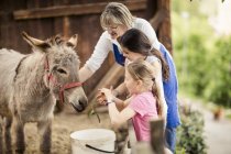 Incontra gli animali