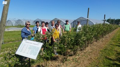 Agrarreise Bremen - Altes Land - Hamburg