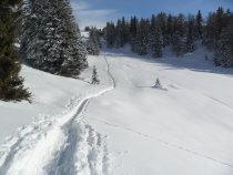 SBO-Leifers-St. Jakob-Pfatten: Winterwanderung